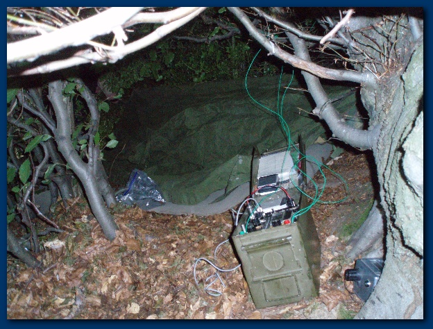 600x449 pixels (177K)